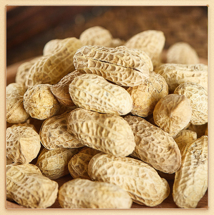 【电视同款】黑山吊炉花生辽宁省黑山县蒜香味炒花生带壳欢脆食品 蒜