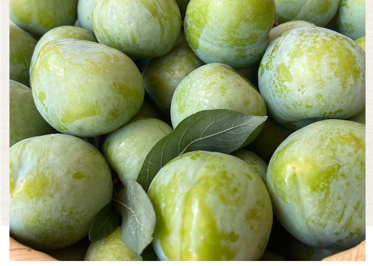 油奈李新鲜特大果现摘5古田青奈福建脆李子蜂糖脱骨李整箱10 5斤老树