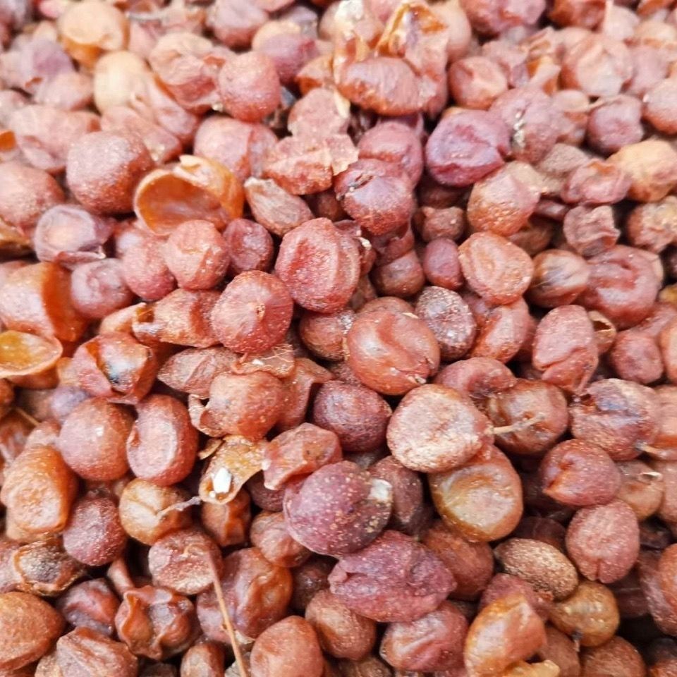 中药材山黄皮果干广西带籽山黄皮黄皮 50克【图片 价格 品牌 报价】