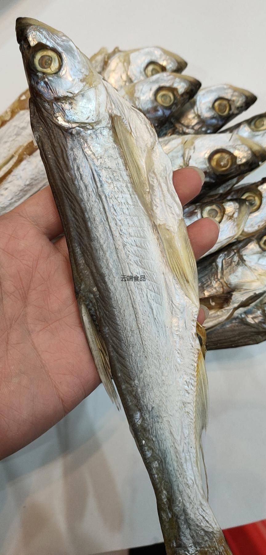 橙伯乐5折湖南特产水产干货淡水鱼东江翘嘴鱼干农家自制大白刁子鱼