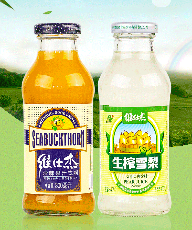 山西特产吕梁维仕杰沙棘汁300ml*8瓶 酸甜果汁饮清爽消暑 【沙棘汁】
