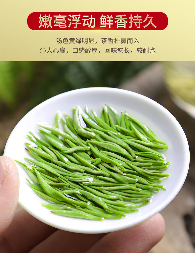 信阳浓香毛尖茶2022新茶明前绿茶云雾耐泡茶叶茗播250g中份量