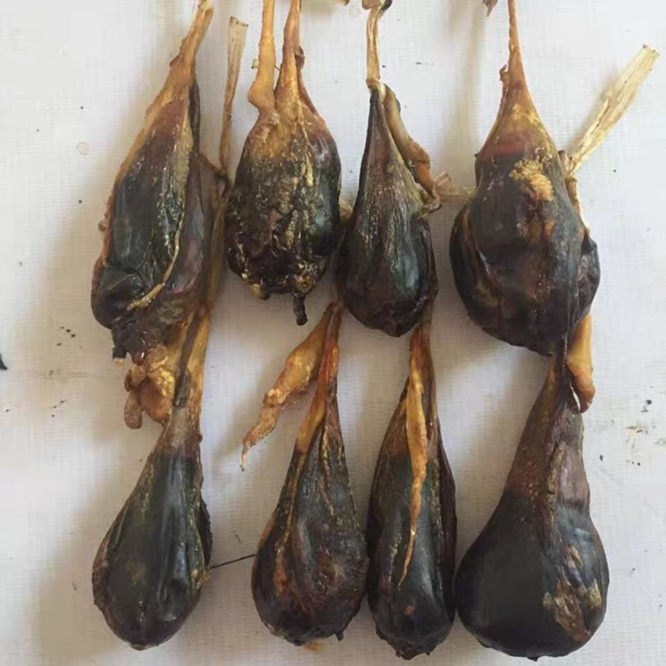 北京同仁堂原料 中药材猪苦胆干牛胆干自然阴干整个