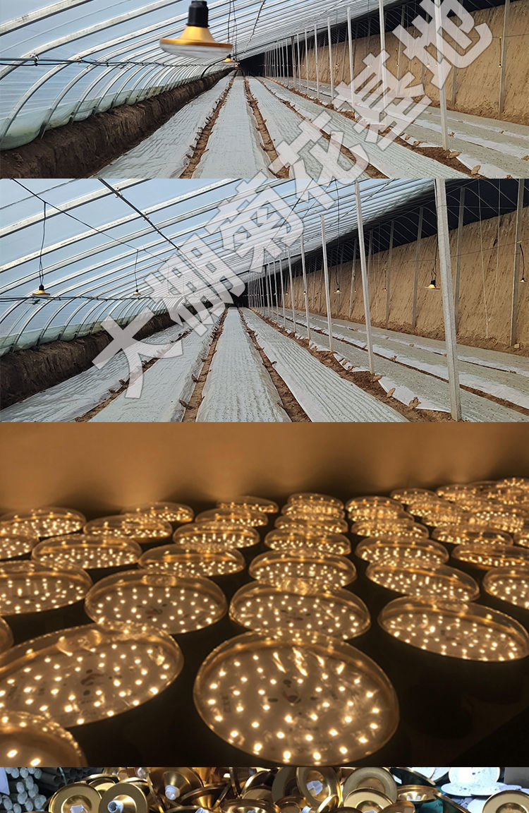 菊花灯草莓葡萄全光谱植物生长灯tlxt 火龙果补光灯15瓦-银色款【图片