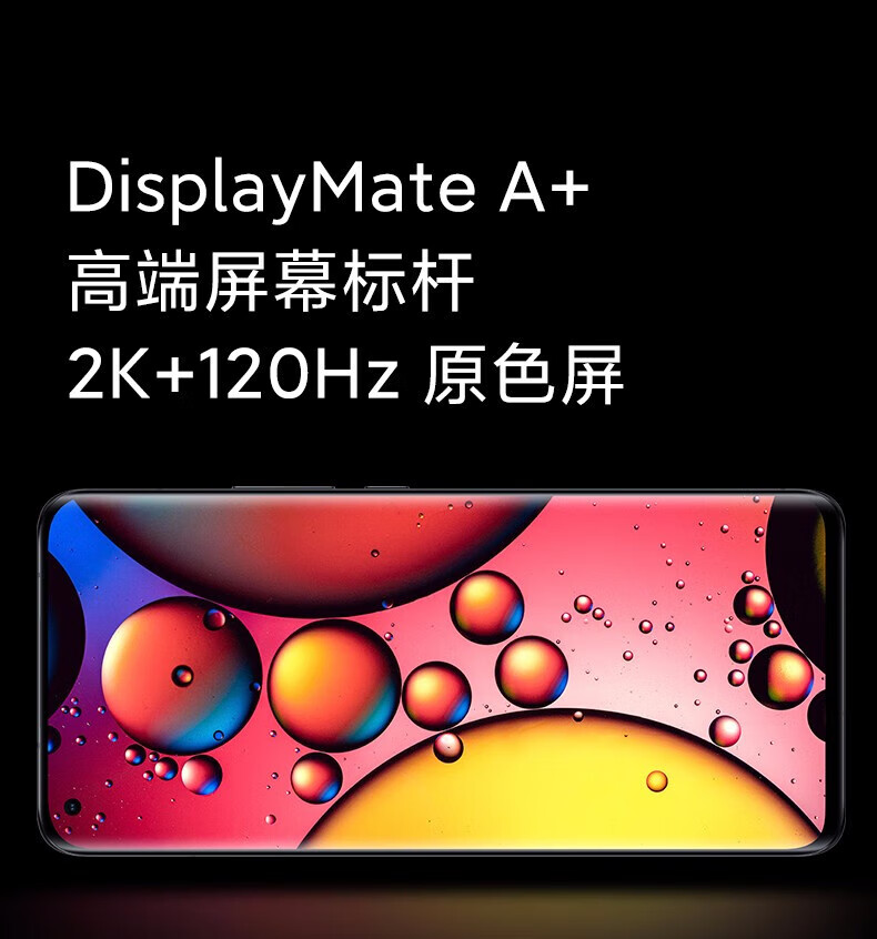 cb6ae2e761084eef.jpg