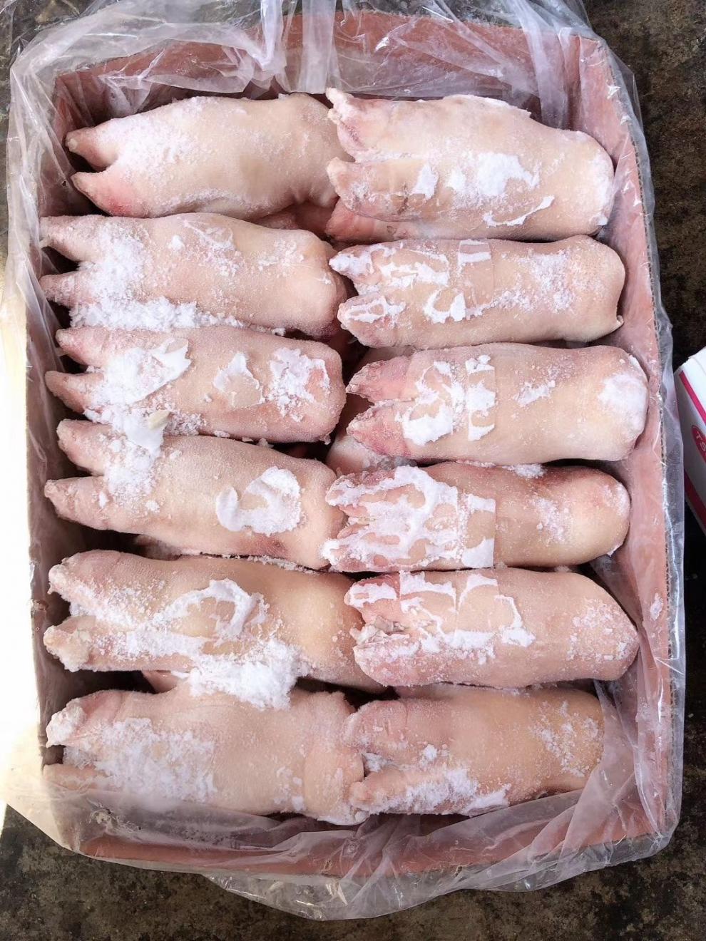 新鲜猪蹄猪脚带筋猪前蹄20斤20个左右干净大小均匀卤菜饭店食材锦祥橙