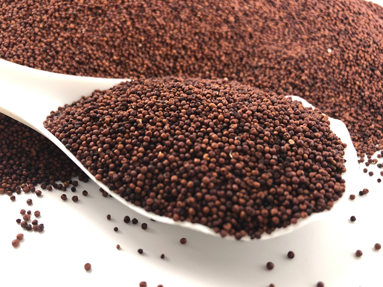 广西粟米粒龙爪粟拳头粟小枕头鸭脚粟米粥鸭脚栗米红色粟米粉