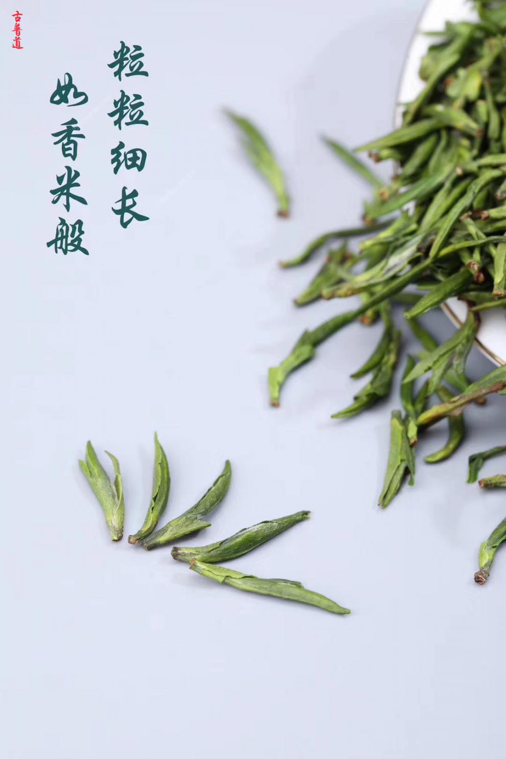 霄青竹 高山雀舌2021新茶叶雨前嫩芽绿茶贵州雀舌春茶400克礼盒装茶叶