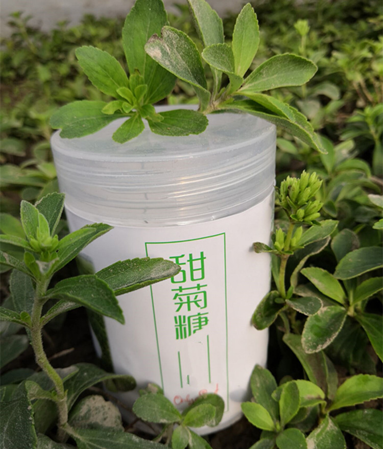 二坠 甜菊糖苷代糖甜味剂甜叶菊糖甜菊叶糖烘焙 高