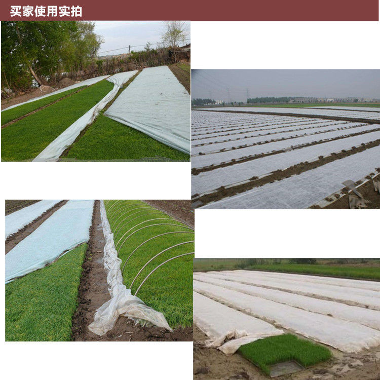 农用育苗无纺布水稻育秧无纺布农用渗水透气膜丰收膜 抗老化30克2*45