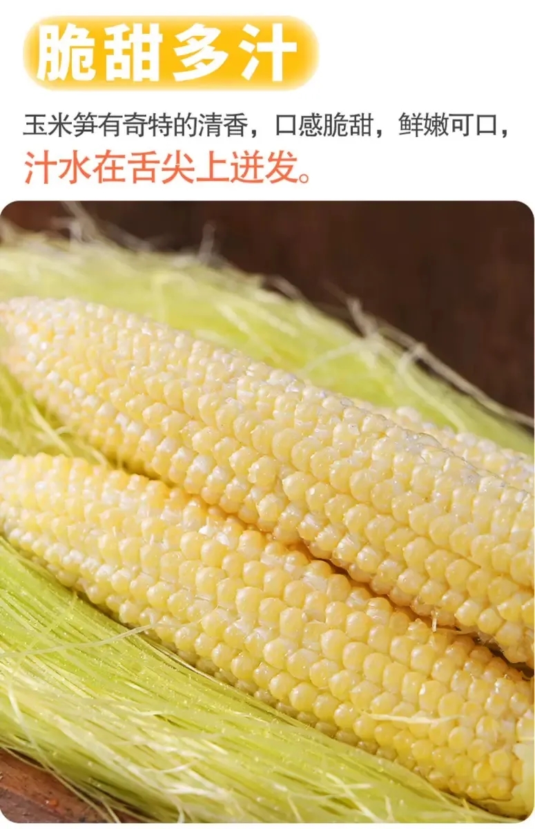 新鲜带皮小玉米笋5斤现摘玉米棒甜小玉米久阅阈玉米仔整箱 9斤