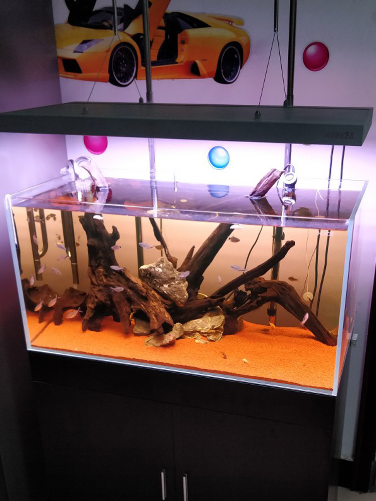 太行红沙鱼缸造景红色化妆沙三湖南美鼠鱼埃及七彩雷龙底砂雨林沙