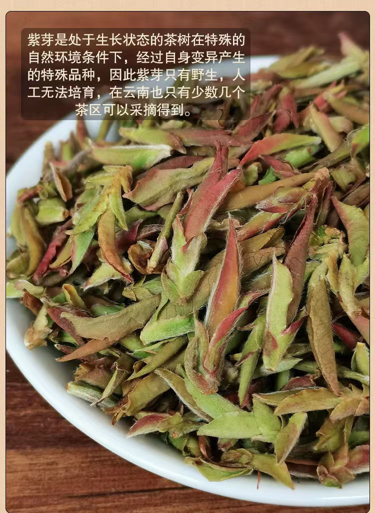 精选茗茶2022年头春茶云南野生紫芽苞茶古树白芽孢茶生茶野花香散茶