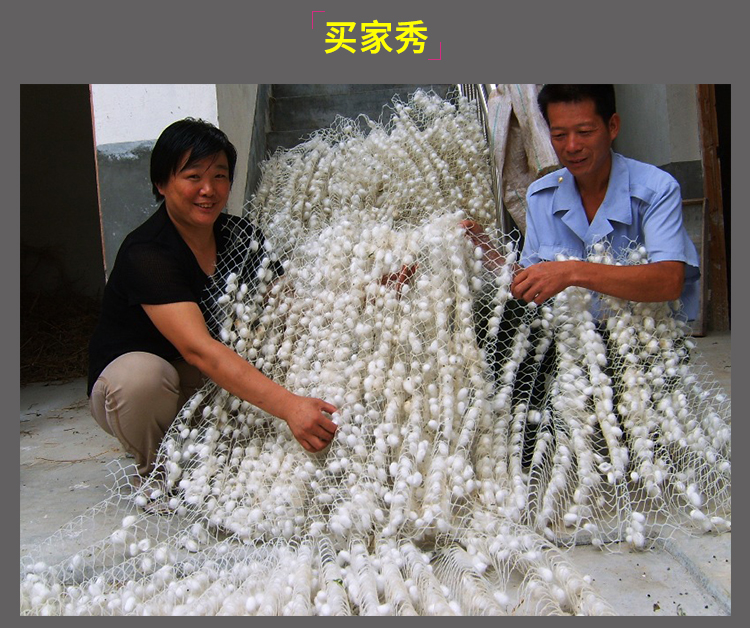 蚕宝宝吐丝结茧网专用结茧网大网片小网片质保10年专用养蚕工具4520