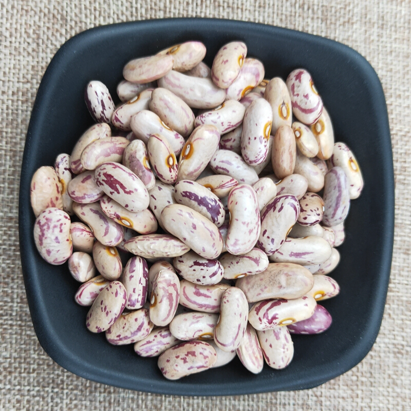 奶花芸豆新东北奶白花芸豆500g农家肥花腰豆大饭豆大碴粥豆馅