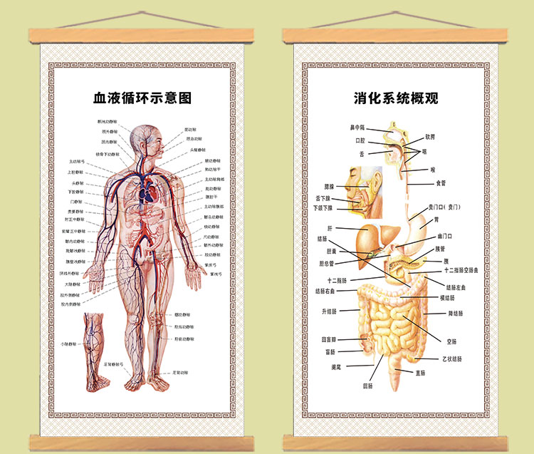 形式:鑲框題材:山水字畫幅數:單幅類別:國畫貨號:fbyrhete商品毛重:1