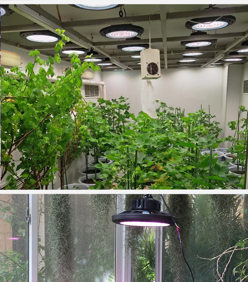 生态通用全光谱植物生长灯室内日照花卉仿太阳光多肉补光灯家用飞碟