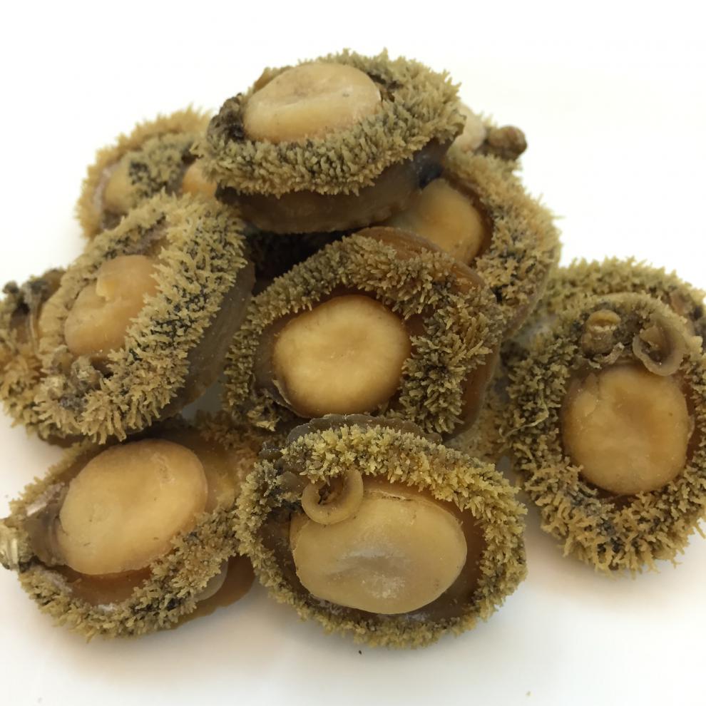 【南非鲍鱼】天然野生南非鲍鱼干约20-25头一斤 鲍鱼干货500克【图片