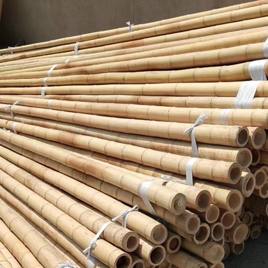 竹竿菜园豆角黄瓜搭架果树撑杆防腐室内装修饰竹竿旗杆跳舞竿 1.