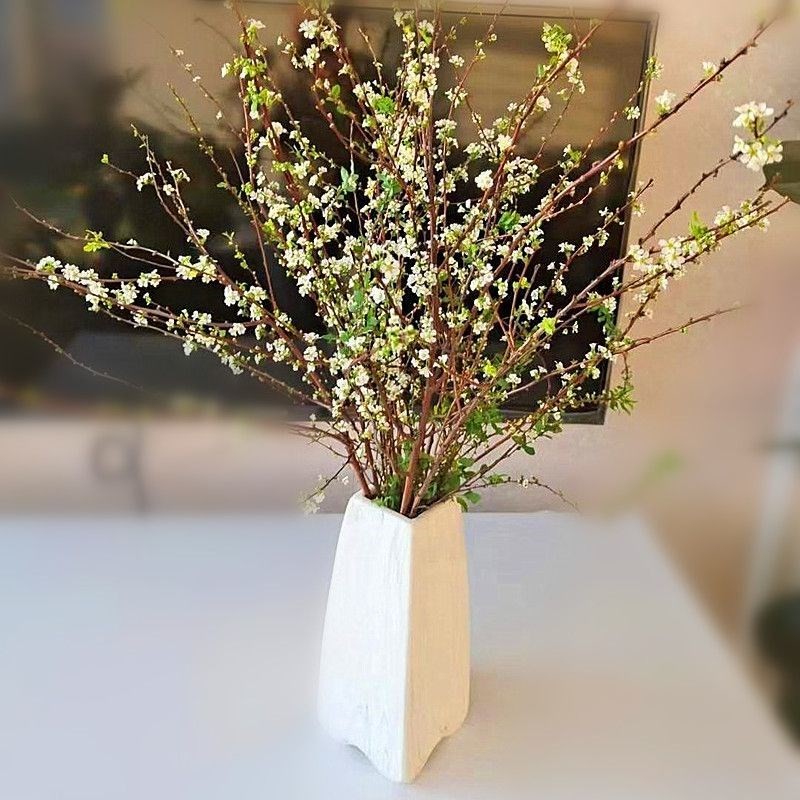 桃泡水开真花水养新鲜装饰插花瓶干树枝柳枝干花包花遇水开花 现剪现