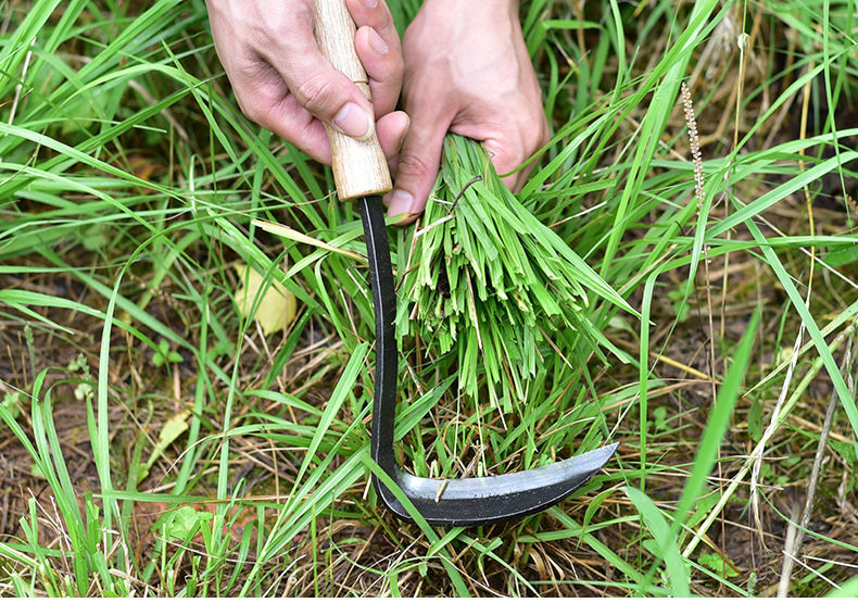 割草刀便携式小镰刀园艺家庭割菜割麦子割草除草禾镰刀收割刀挖野菜