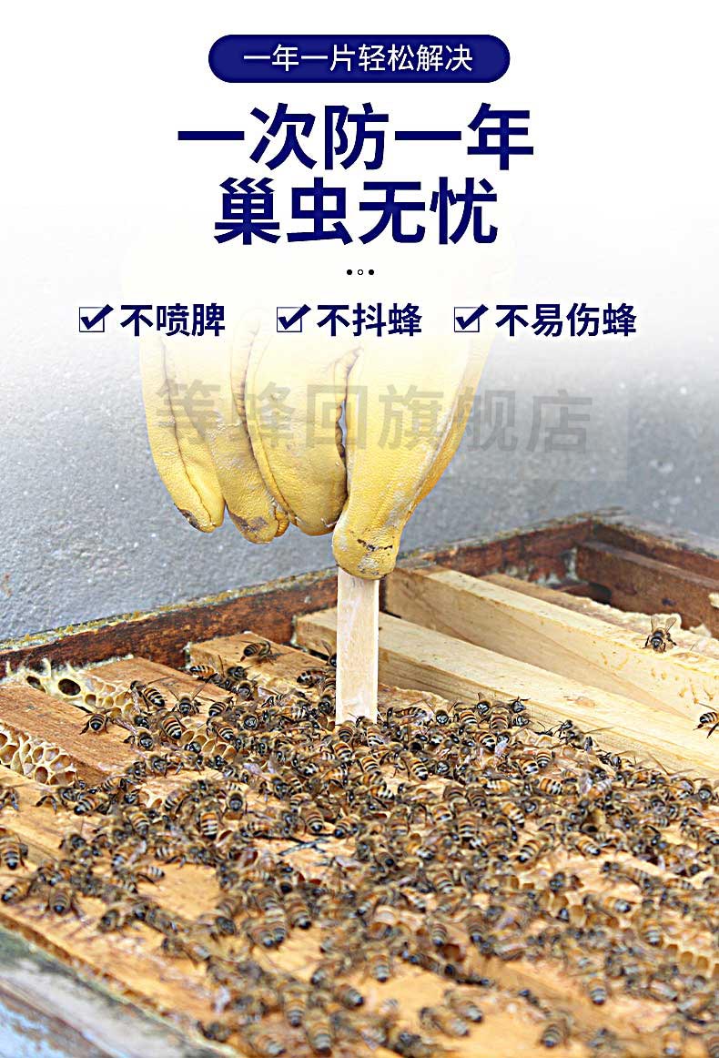 蜜蜂巢虫净10片装防棉虫药清灭巢虫片青木片巢虫清木片中蜂专用扫码