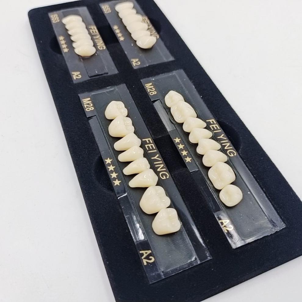 飞鹰四星多层色树脂牙前塑后钢牙二层色牙科塑钢牙齿全口义齿上半口ss