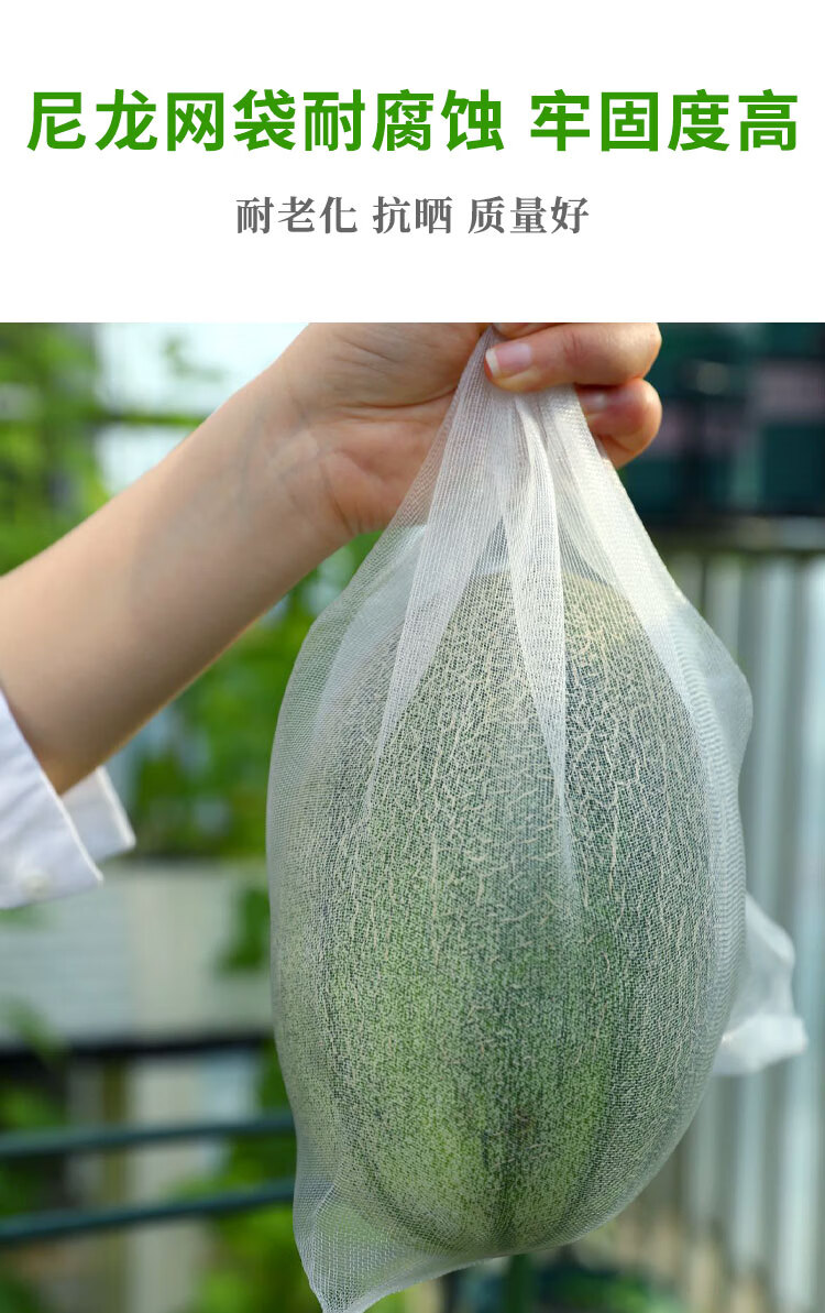 丝瓜西瓜尼龙套袋神器专用保护2530厘米防虫网袋50个黑色火龙果专用