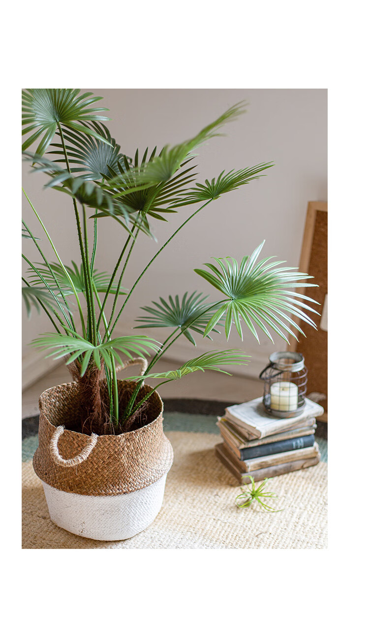 掬涵大型仿真植物蒲葵扇葵綠植盆景裝飾落地室內客廳盆栽擺件蒲葵15葉