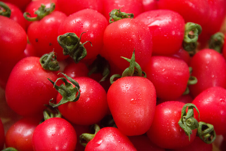 千禧圣女果 小番茄圣女果千禧新鲜水果小西红柿应季时令 水果黄瓜组合