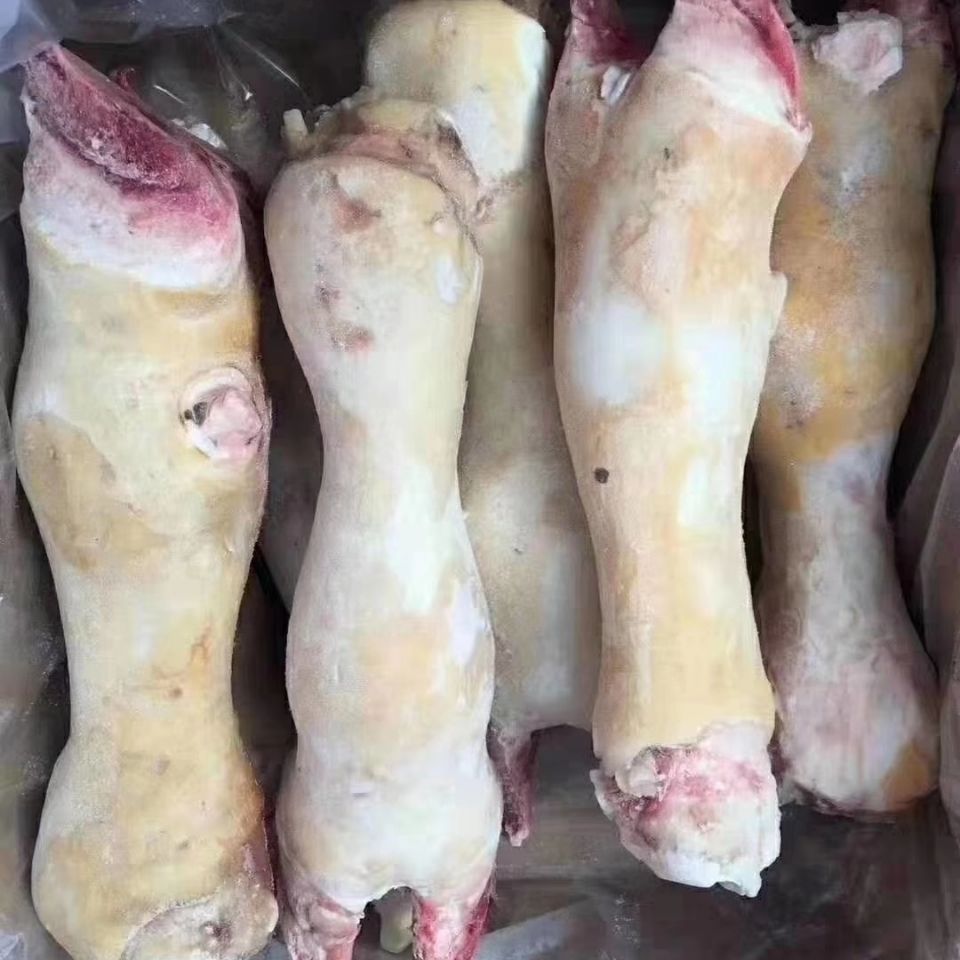 橙伯乐 新鲜黄牛蹄生牛蹄子牛脚牛腿整根原切带筋骨炖汤红烧火锅烧烤