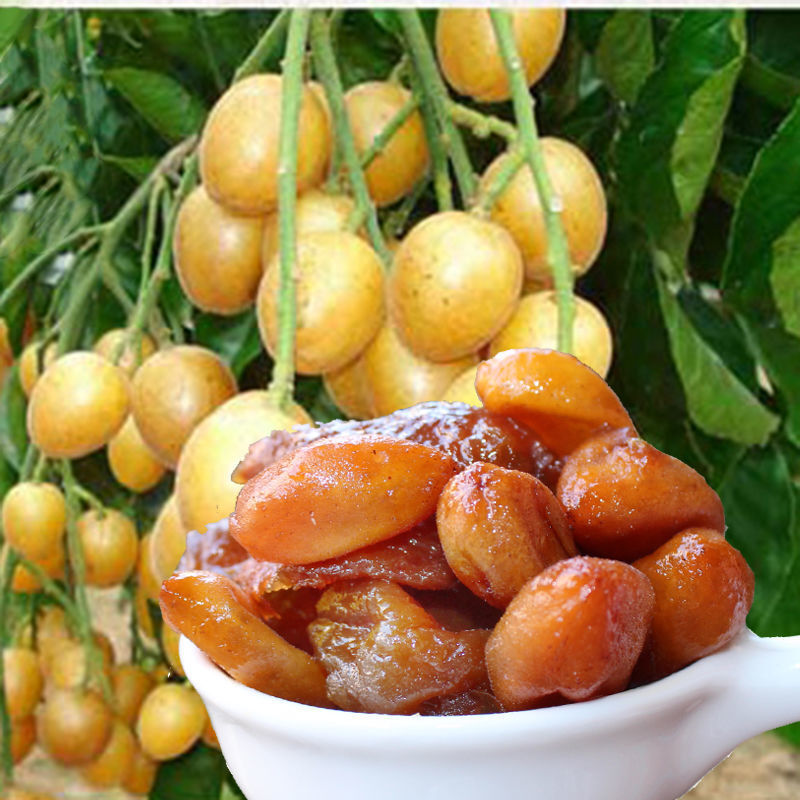 惠州博罗黄皮干凉果特产无核黄皮蜜饯果干黄皮豉休闲零食 330g 500g