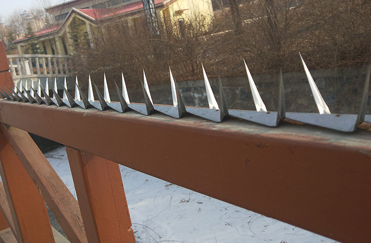 亿万仟 防爬刺钉热镀锌围墙别墅防盗刺铁刺墙头不锈钢防爬钢刺围栏刺