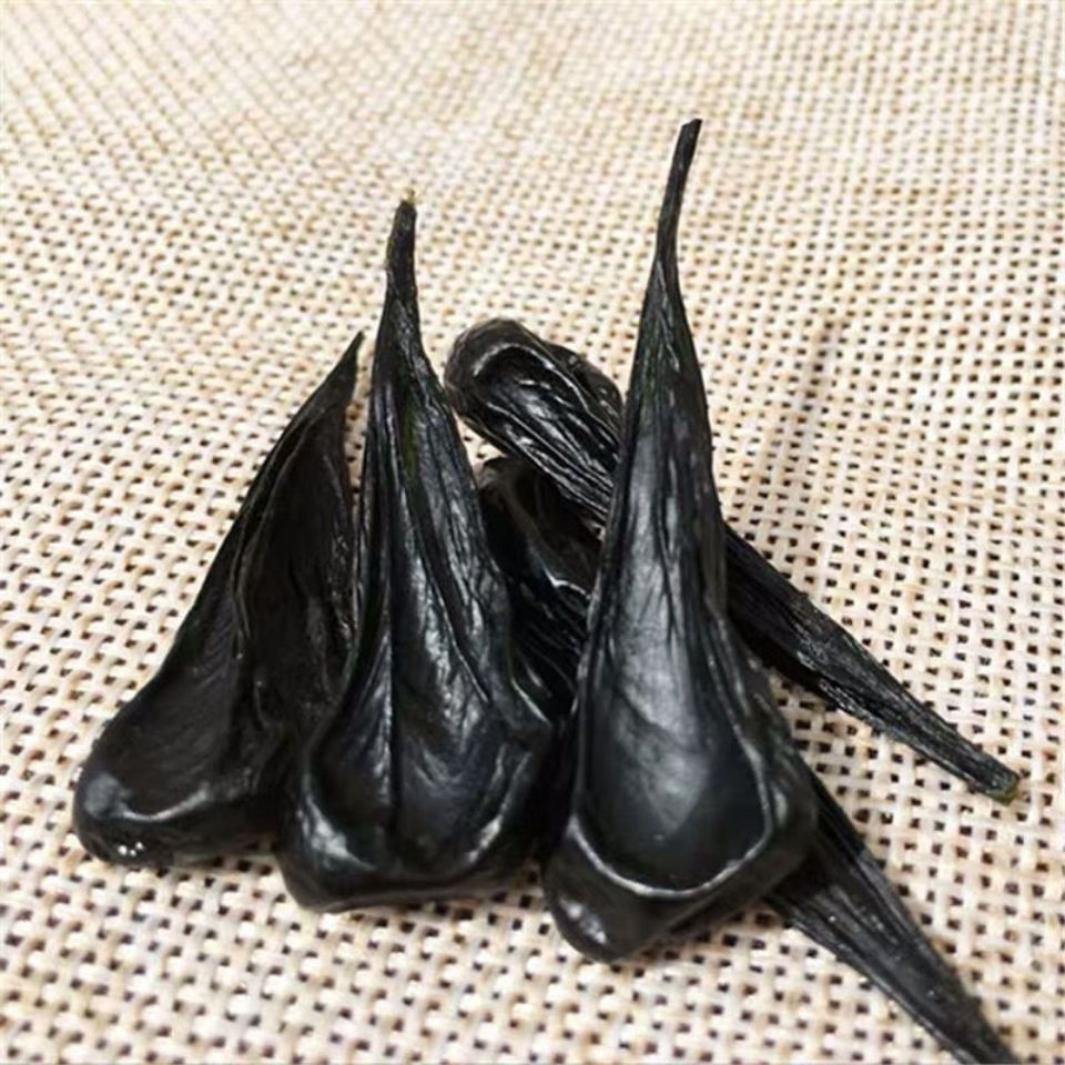 正宗五步蛇胆干中药材蛇胆干 五步龙蛇胆 眼镜蛇胆 蛇胆泡酒料 蛇胆1