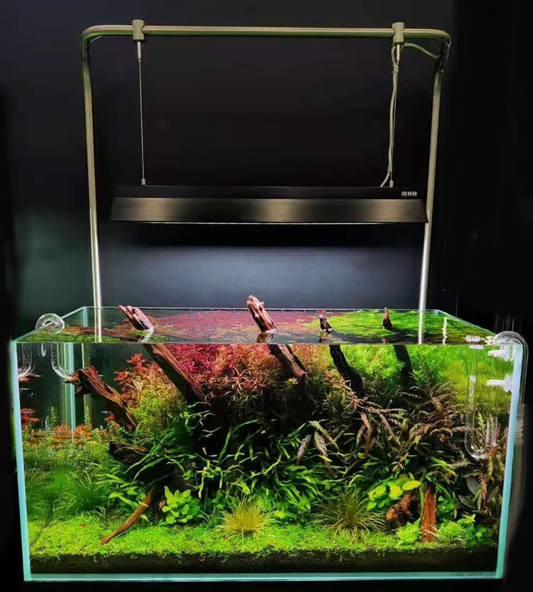 尼特利鱼缸水草灯白兰水族尼特利神灯at5水草灯全光谱led支架灯盘带