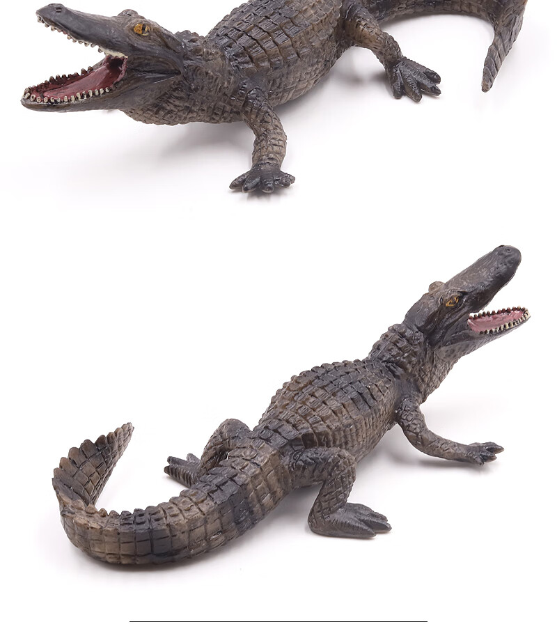 迪士尼(disney)实心仿真鳄鱼模型尼罗鳄扬子鳄野猪鳄短吻鳄动物玩具