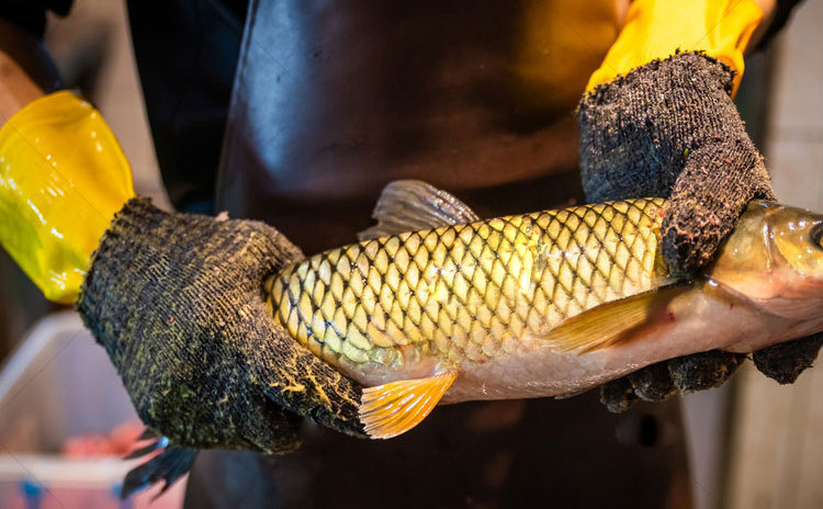 湖北鱼面鱼面礼盒装湖北特产麻城手工奎鱼面月子面火锅面礼品