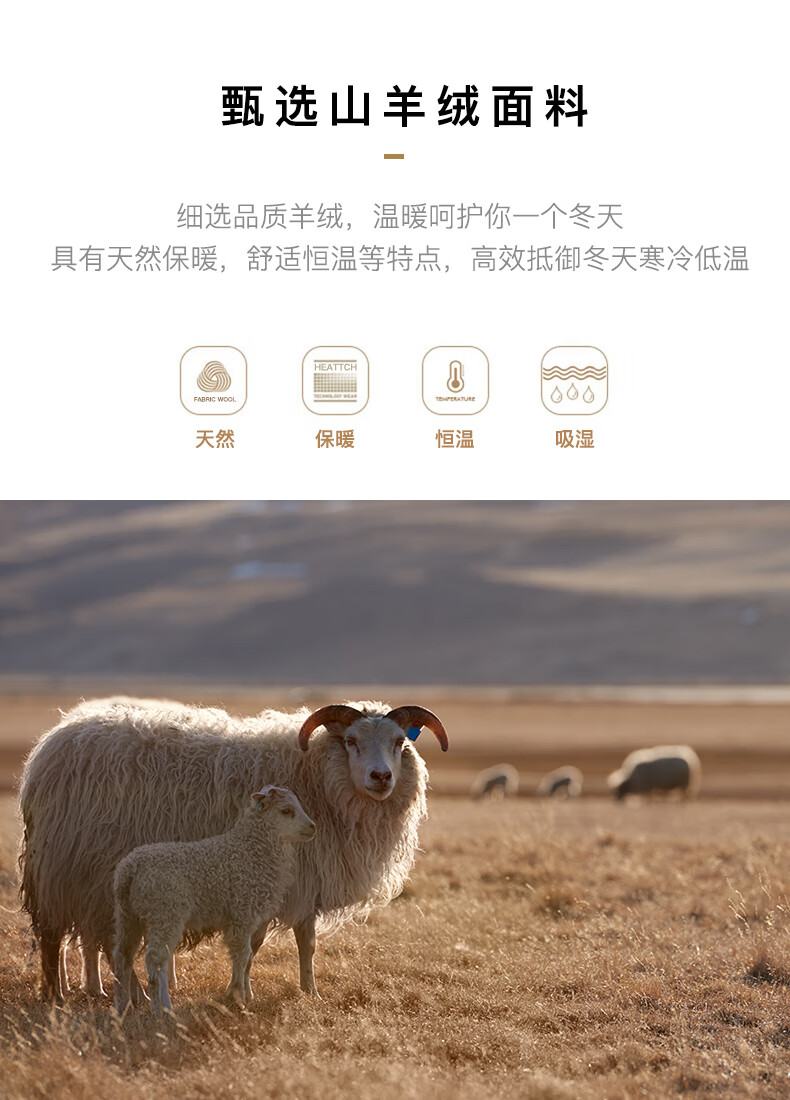 5d25880d7dbe2d7c.jpg