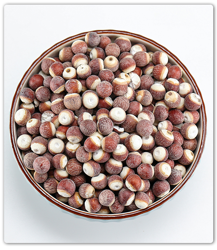 筱木屋广东大颗粒芡实干货大粒新鲜泡茶鸡米头红芡实苏欠实米250g