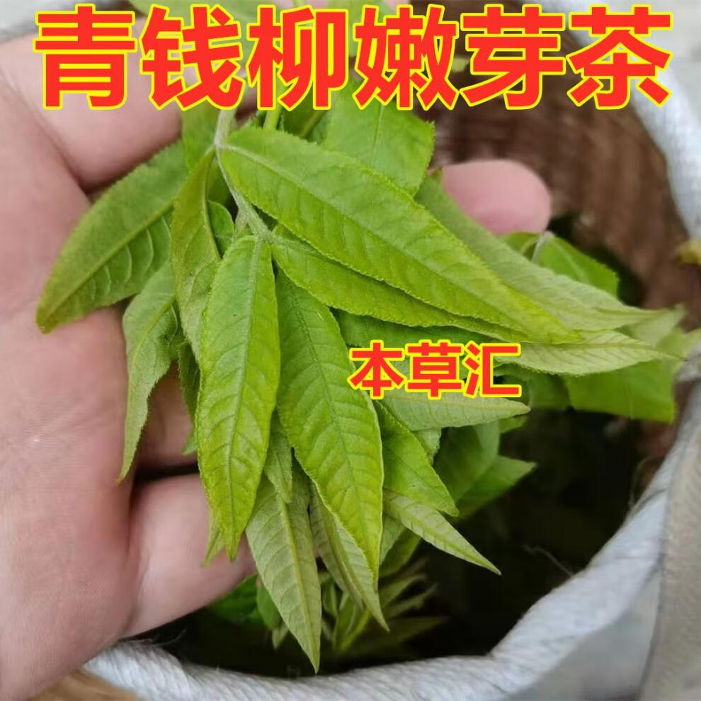 c688b3b5c4f33220.jpg