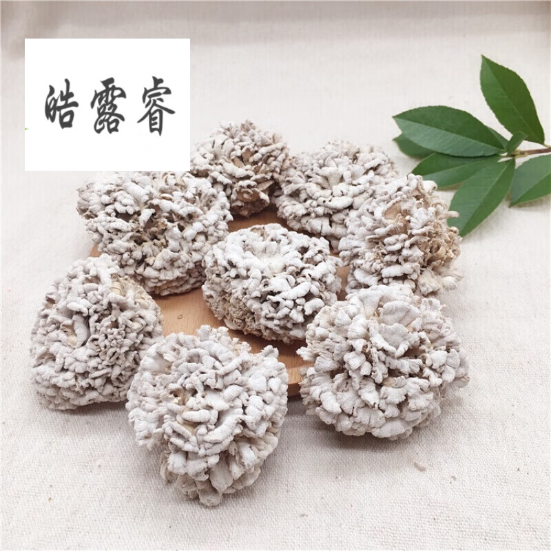 食用菌白參菌天山雪蓮菌菇白蓮菇雪蓮菇乾貨100g