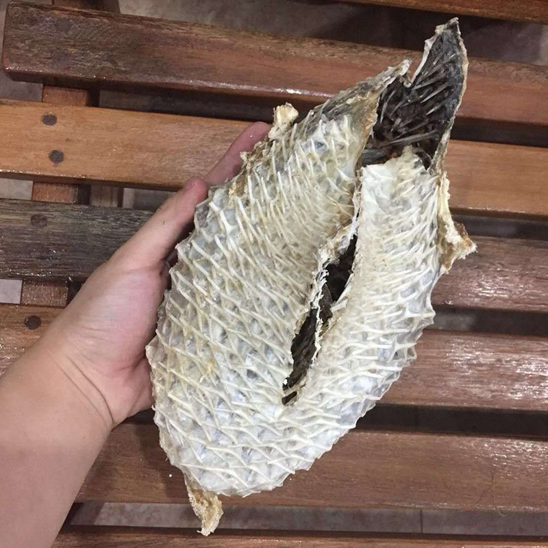 深海大号刺龟皮 海胆皮刺豚海鱼水产干货煲汤阳江特产一斤 江特产一斤