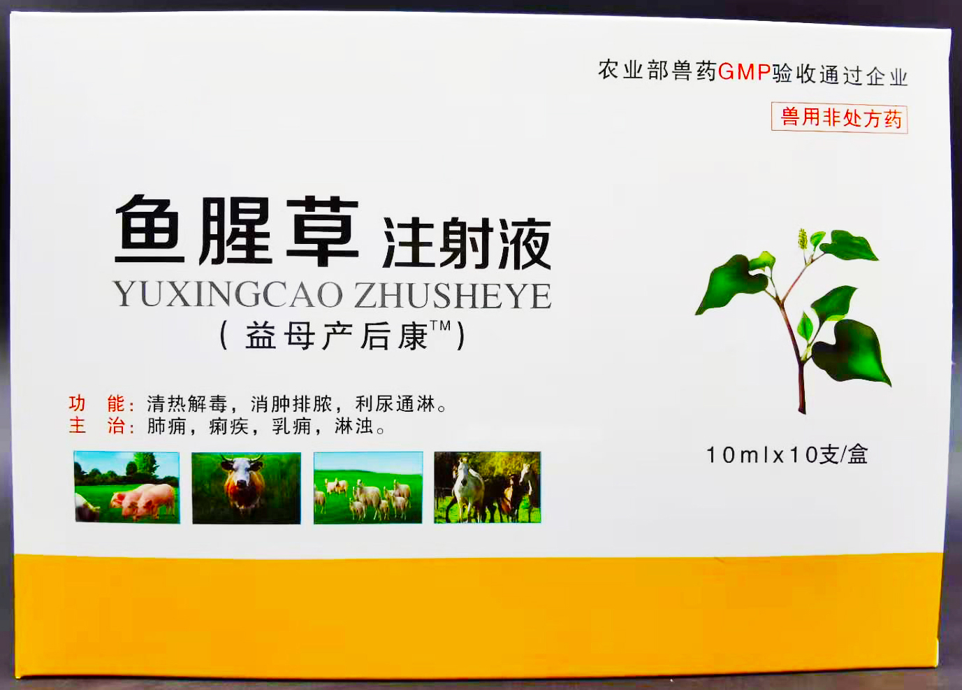 益母产后康兽用兽药猪药牛羊母猪产后消炎清热解鱼腥草注射液 100ml/1