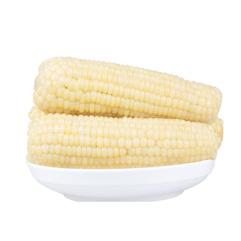 东北特产速冻白糯玉米棒新鲜白苞米早餐速冻包装粗粮精选大棒280克8根