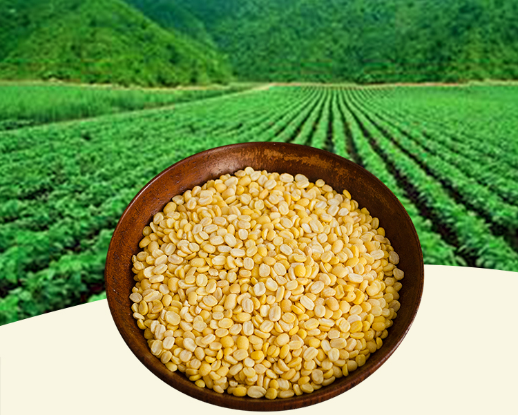 净重5斤农家去皮绿豆仁脱皮脱壳绿豆糕包粽子用去壳烘焙材料