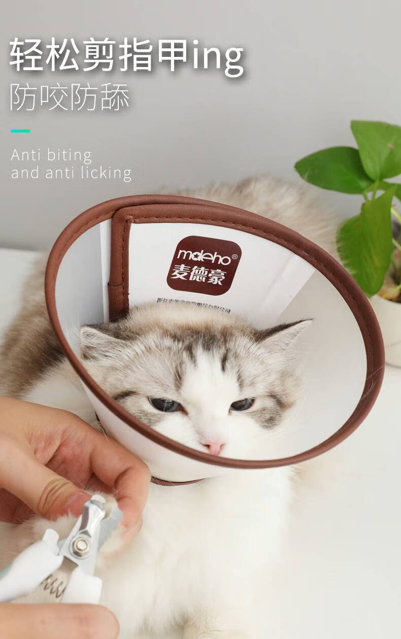 圈大型犬金毛头罩狗防抓咬防舔猫宠物伊利沙白项圈 小尾巴a2(1颈围16