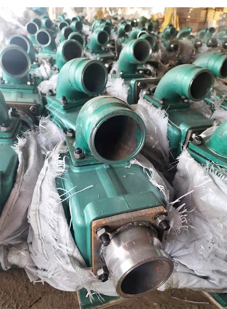 泽洋污水泵抽粪泵泥浆小型家用泵养殖场专用吸粪机自吸泥浆排污泵4寸