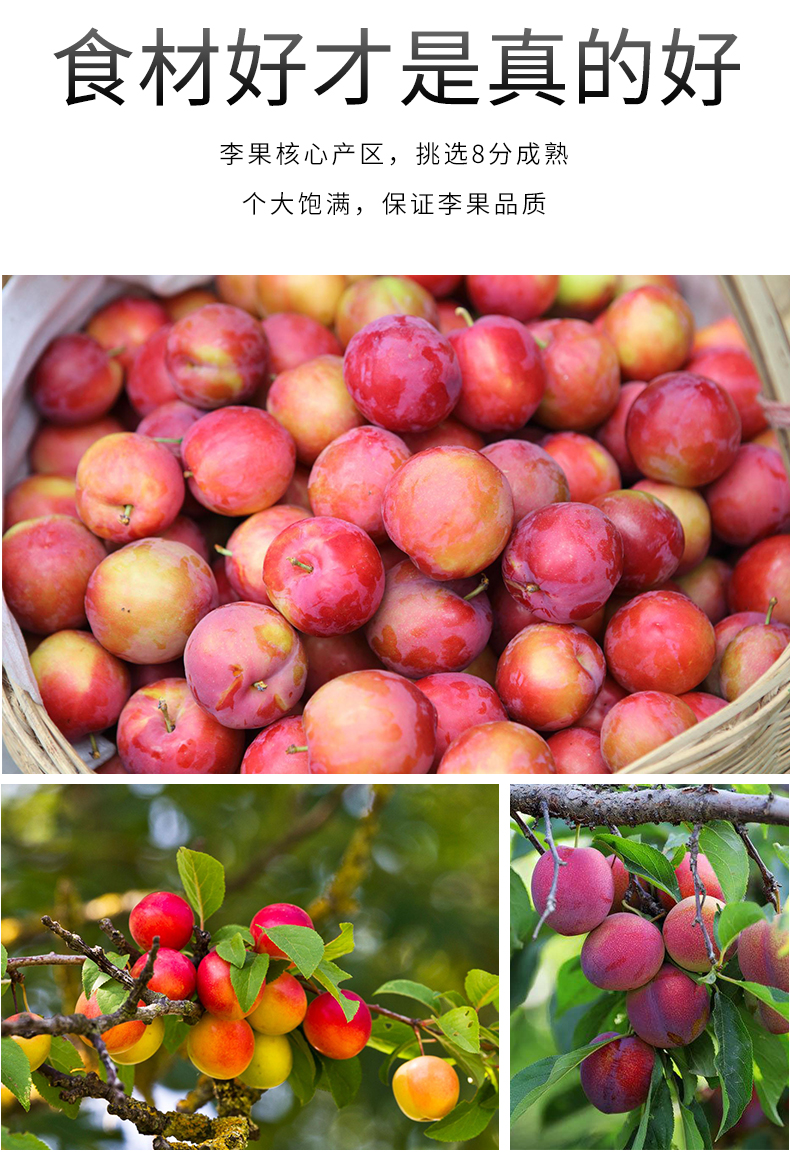 情人梅500g散装韩话梅果脯水果干酸梅子袋装办公室网红小零食批发