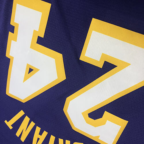 湖人队紫色v领24号球衣戴维斯尼克杨布印高质量篮球服 紫色 v领 24号