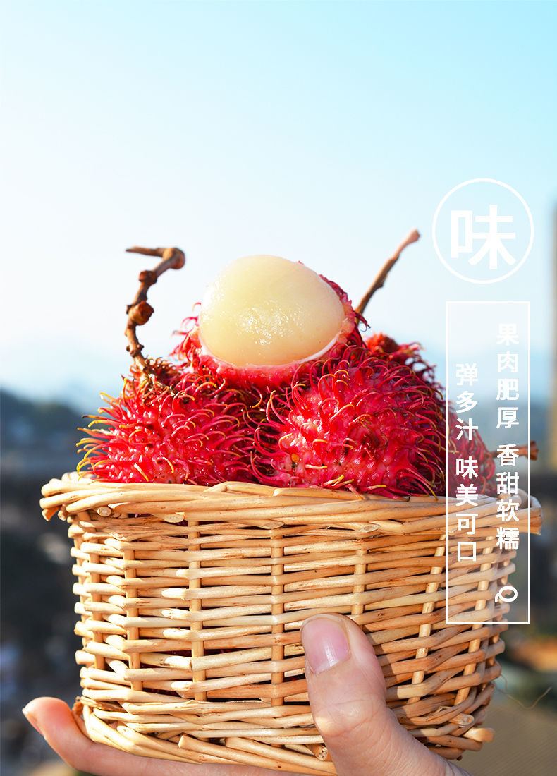 顺丰空运礼盒装海南红毛丹保亭7号毛丹果新鲜水果毛荔枝净果5斤精美